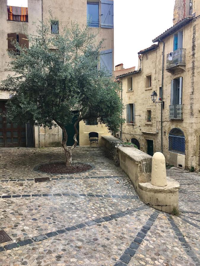 L'Olivier Loft Hh - Netflix & Prime - Centre Corum Montpellier Eksteriør billede